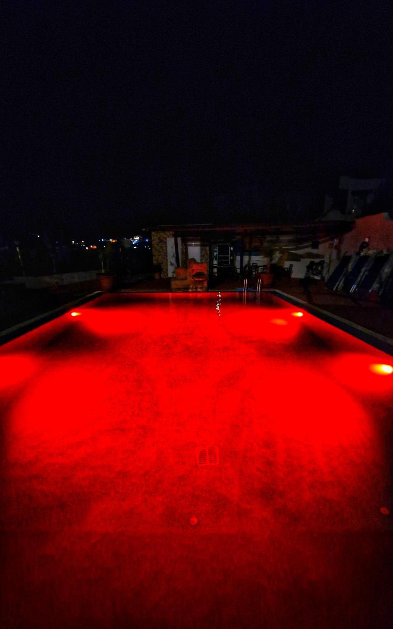 Hotel Bellavista Ischia Dış mekan fotoğraf