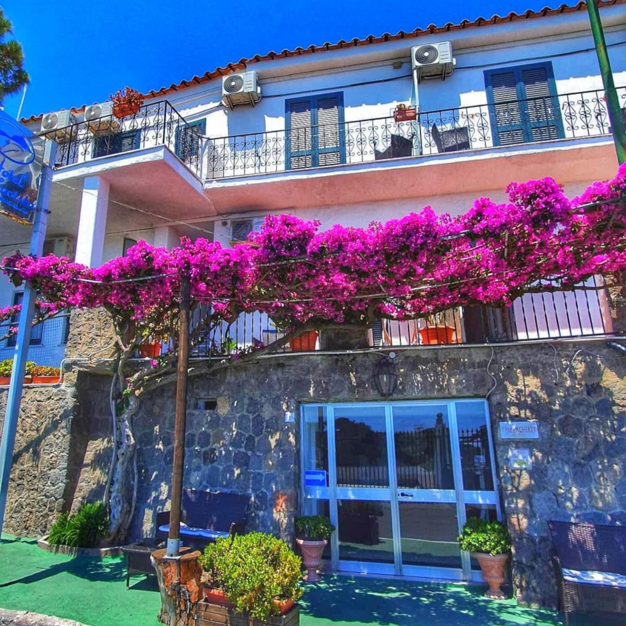 Hotel Bellavista Ischia Dış mekan fotoğraf